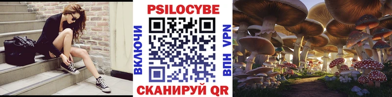 Галлюциногенные грибы Magic Shrooms  где найти наркотики  Амурск 